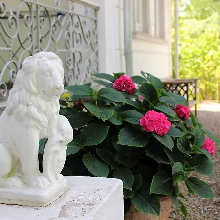 Sanssouci Kirschbluete Binz