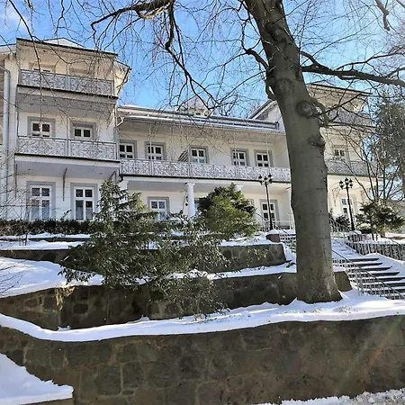 Sanssouci Kirschbluete *